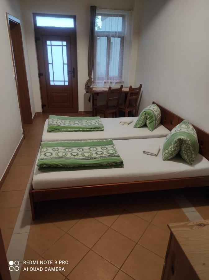 Penzion Dolní Dunajovice エクステリア 写真