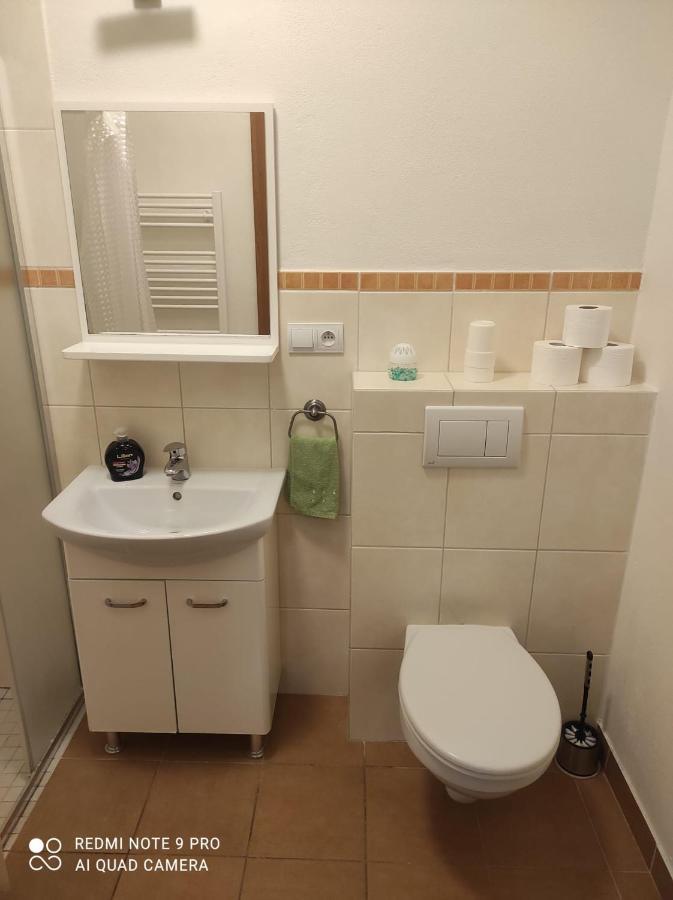 Penzion Dolní Dunajovice エクステリア 写真