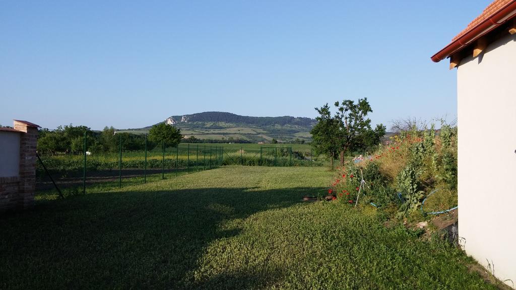 Penzion Dolní Dunajovice エクステリア 写真