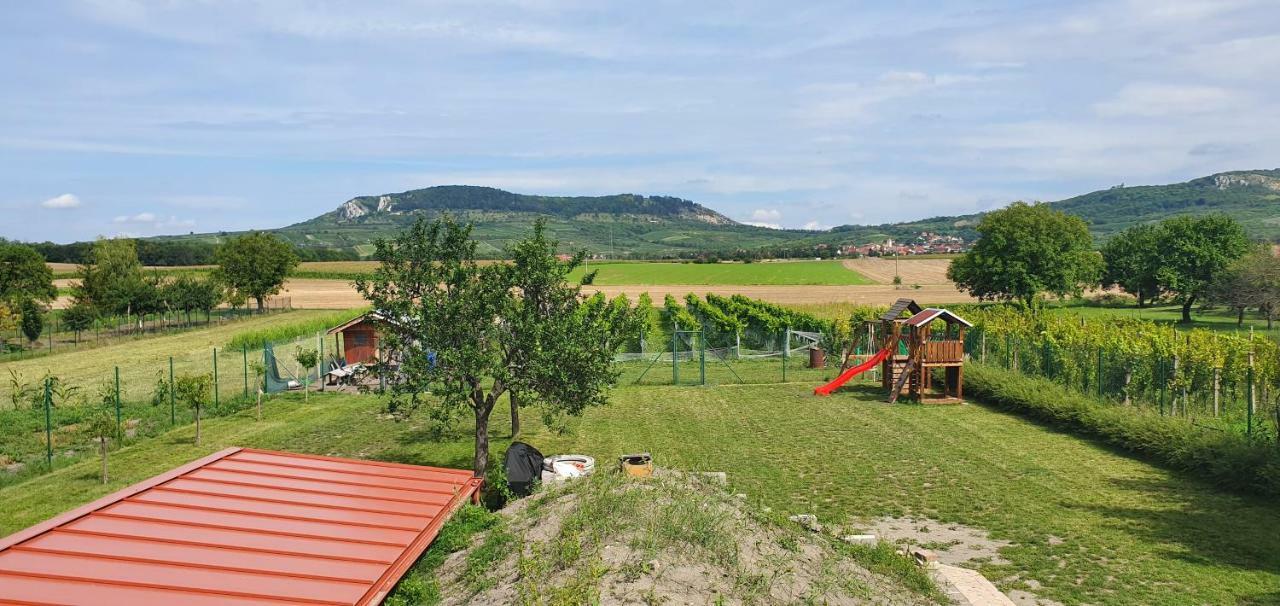 Penzion Dolní Dunajovice エクステリア 写真