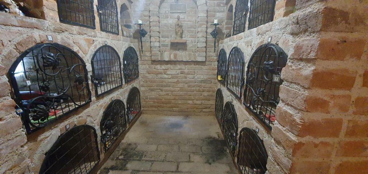 Penzion Dolní Dunajovice エクステリア 写真