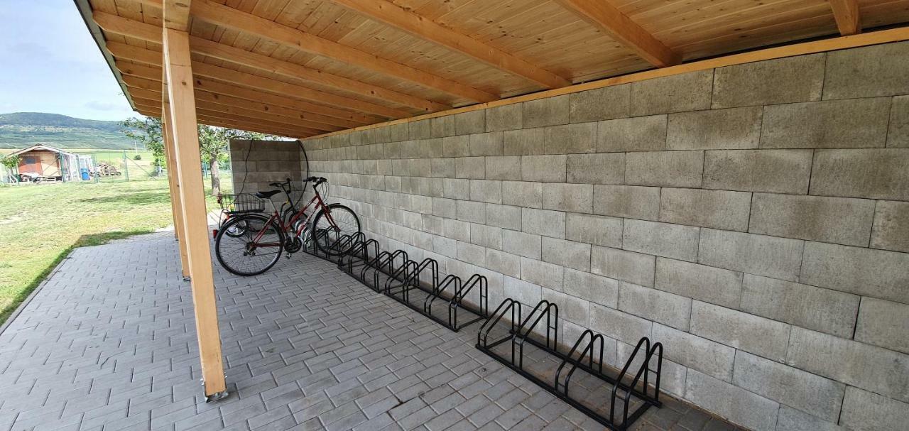 Penzion Dolní Dunajovice エクステリア 写真
