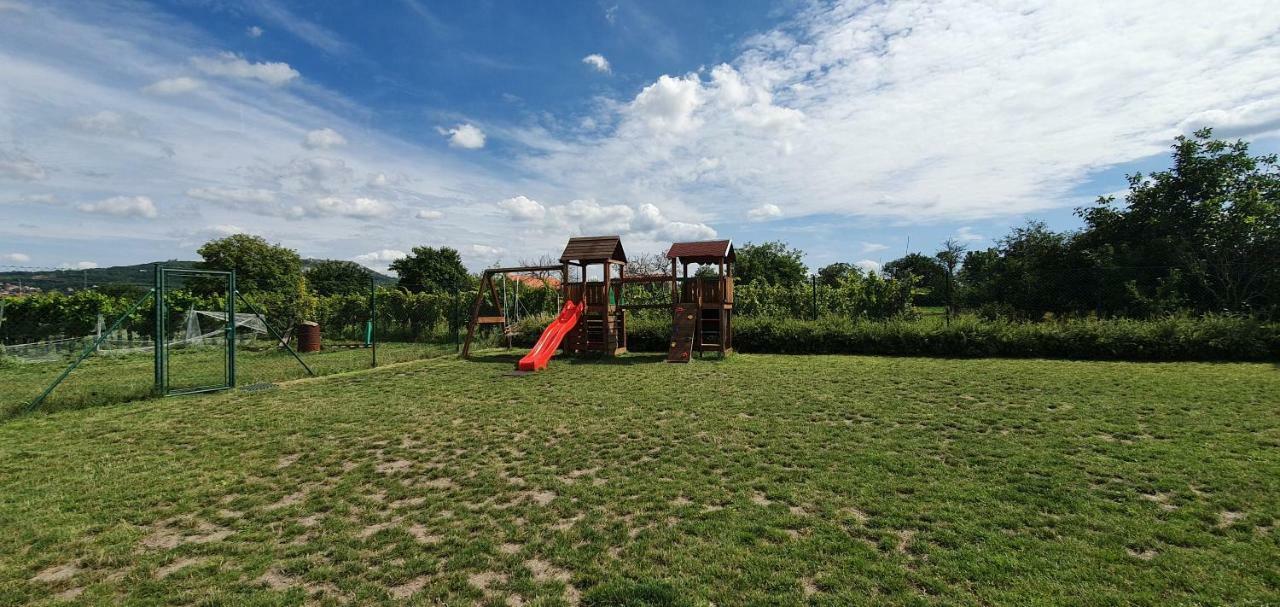Penzion Dolní Dunajovice エクステリア 写真