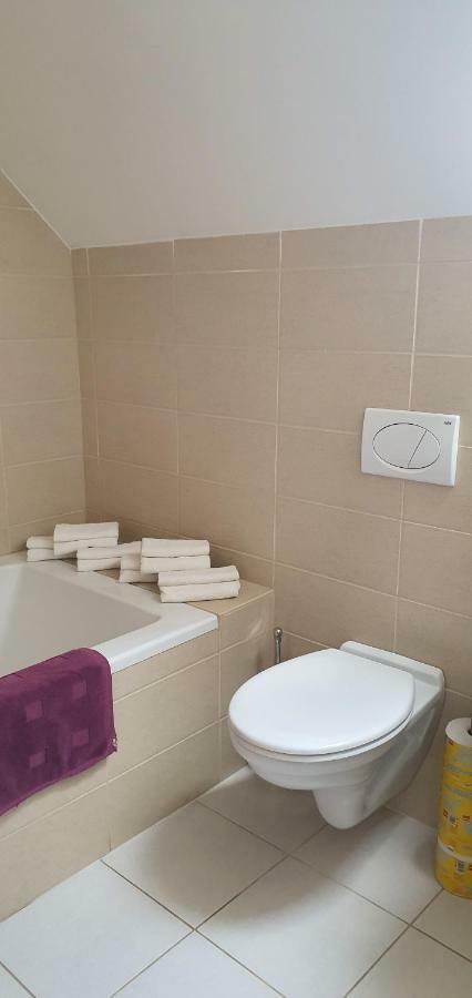 Penzion Dolní Dunajovice エクステリア 写真